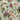 Summer Peony Vineyard & Rose Fabric