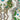 Caspian Lime Fabric