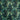 Congo Forest Fabric
