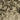 Crush Fern Fabric
