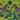 Lost World Velvet Lime Fabric
