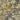 Madagascar Charcoal/Charteuse Fabric