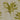 Palma Citron Fabric