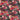 Tahiti Fuchsia Fabric