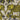 Zambezi Linen Gold Fabric