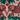 Zambezi Velvet Pink Fabric