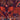 Zambezi Velvet Wine Fabric