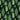 Fernery Botanical Green & Charcoal Fabric